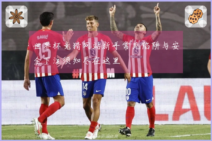 世界杯竞猜网站新手常见陷阱与安全下注须知尽在这里