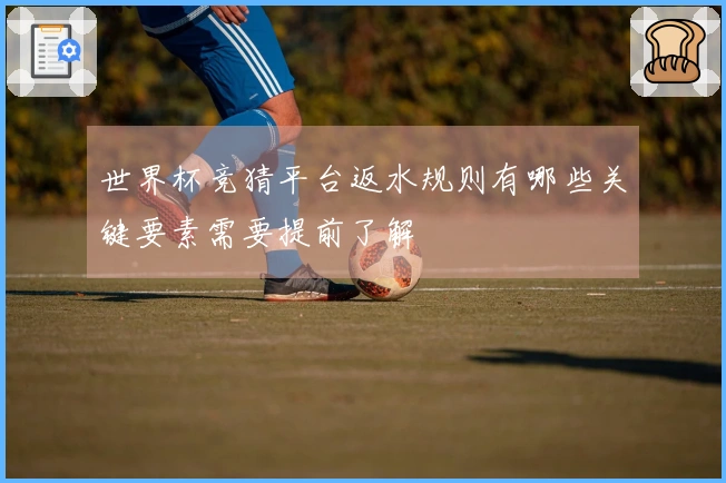 世界杯竞猜平台返水规则有哪些关键要素需要提前了解