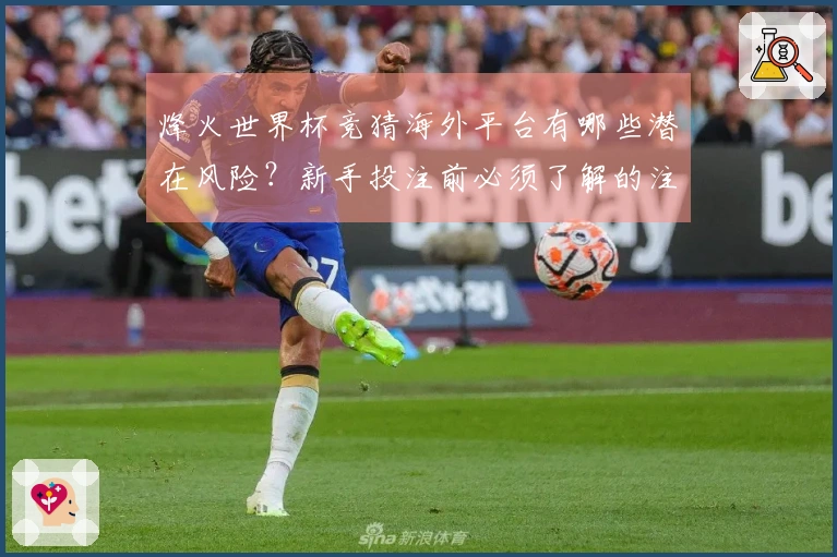 烽火世界杯竞猜海外平台有哪些潜在风险？新手投注前必须了解的注意事项