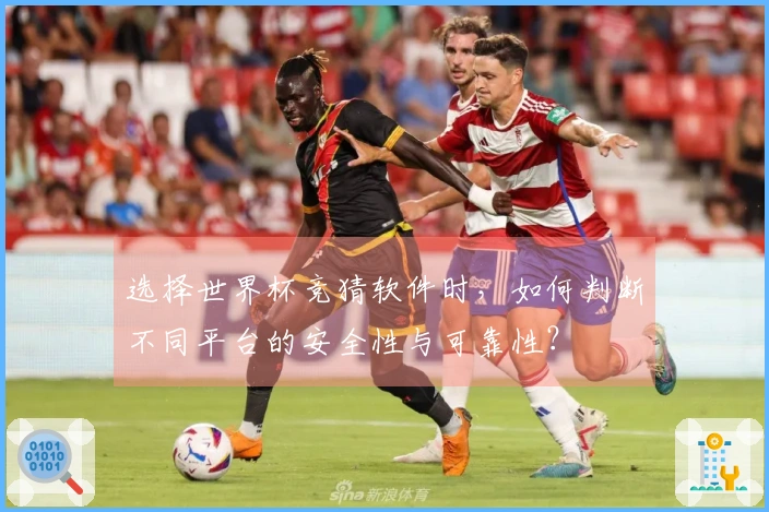 选择世界杯竞猜软件时，如何判断不同平台的安全性与可靠性？