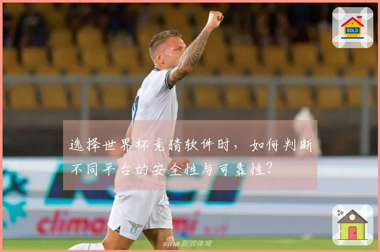 选择世界杯竞猜软件时，如何判断不同平台的安全性与可靠性？