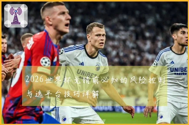 2026世界杯竞猜前必知的风险控制与选平台技巧详解