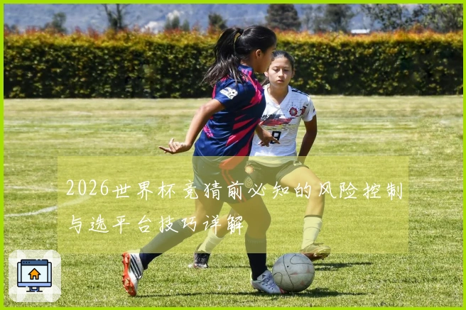 2026世界杯竞猜前必知的风险控制与选平台技巧详解