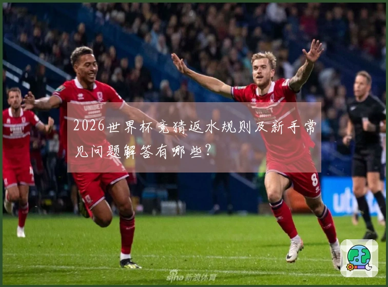 2026世界杯竞猜返水规则及新手常见问题解答有哪些？
